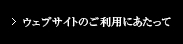 ウェブサイトのご利用にあたって